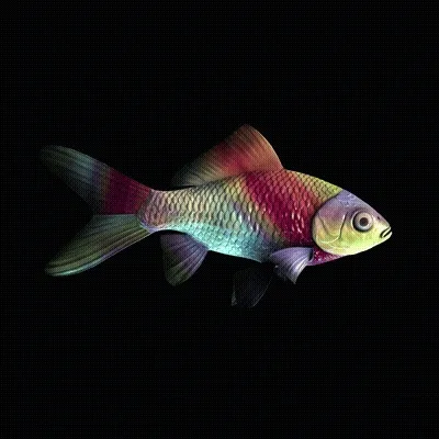 CryptoFish #4289