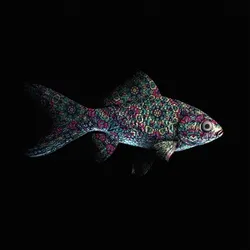 CryptoFish #3740