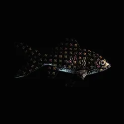 CryptoFish #5028