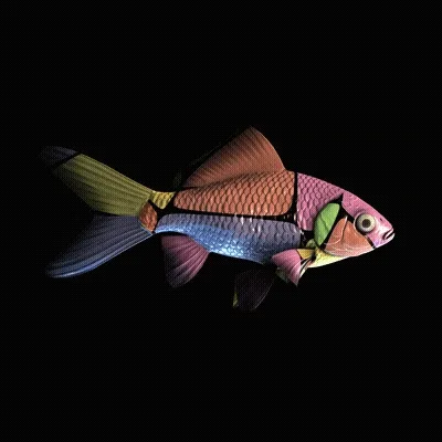 CryptoFish #5102