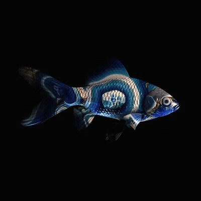 CryptoFish #2277