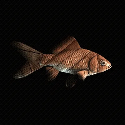 CryptoFish #6073