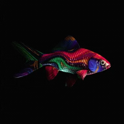 CryptoFish #386
