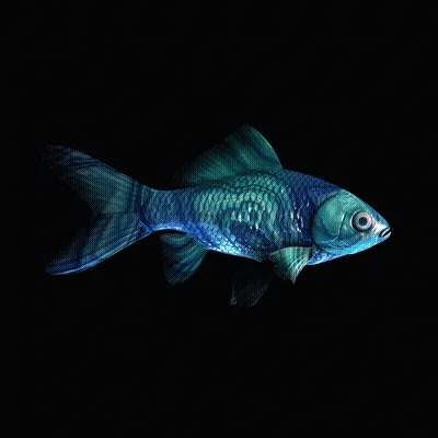 CryptoFish #5581