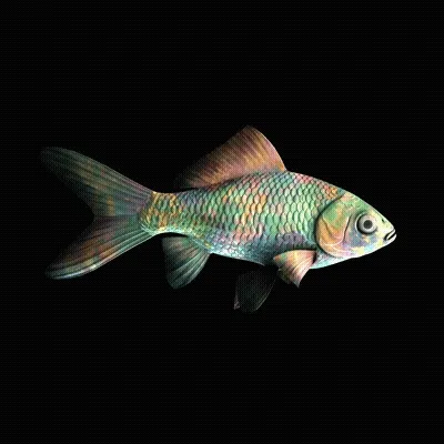 CryptoFish #4361