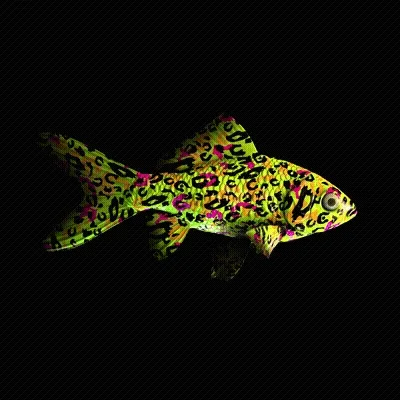 CryptoFish #6334