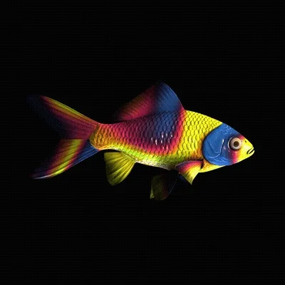 CryptoFish #5329