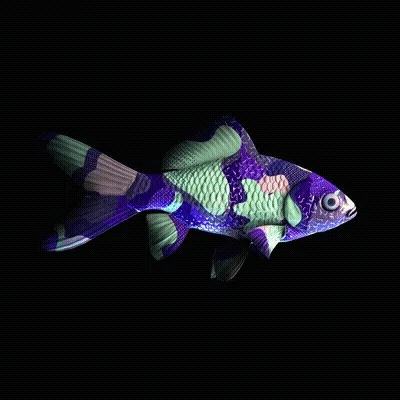 CryptoFish #1225