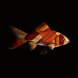 CryptoFish #9