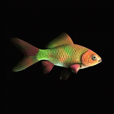 CryptoFish #4104