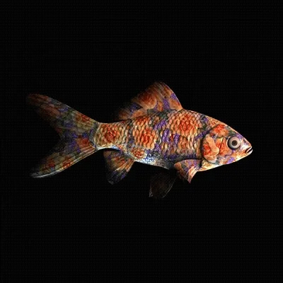 CryptoFish #4000
