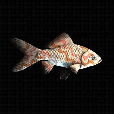 CryptoFish #5632