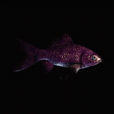 CryptoFish #5016