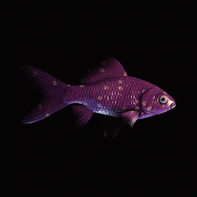 CryptoFish #6475