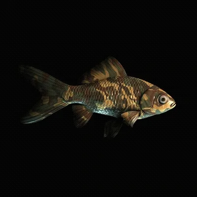 CryptoFish #1128