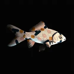 CryptoFish #4132
