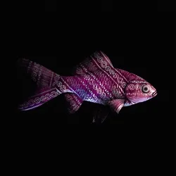 CryptoFish #387