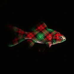 CryptoFish #4060