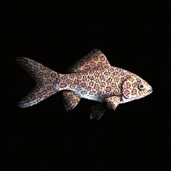 CryptoFish #4919