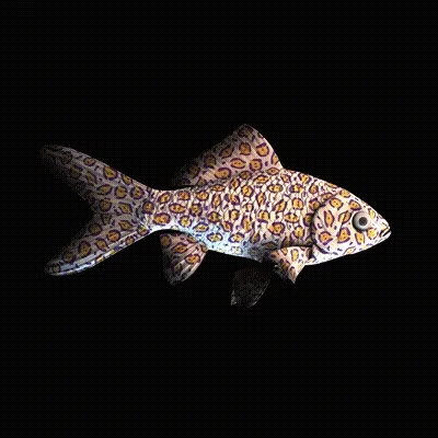 CryptoFish #4919