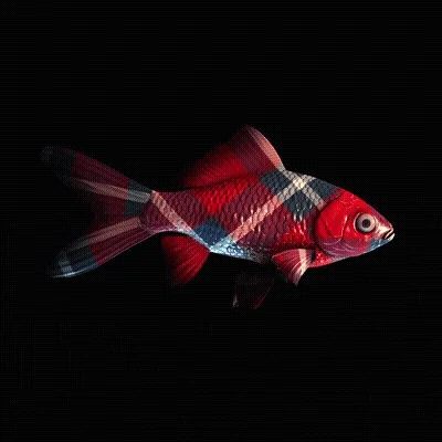 CryptoFish #4039
