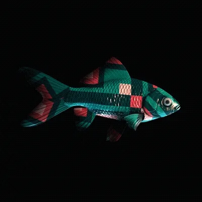 CryptoFish #4809