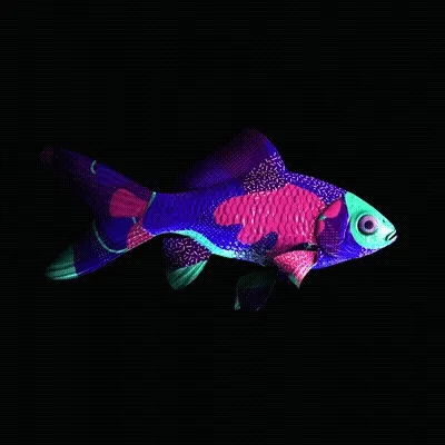 CryptoFish #3502