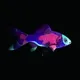 CryptoFish #3502