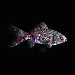 CryptoFish #5441