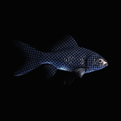 CryptoFish #4962