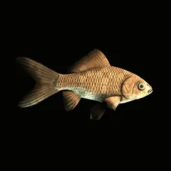CryptoFish #3700