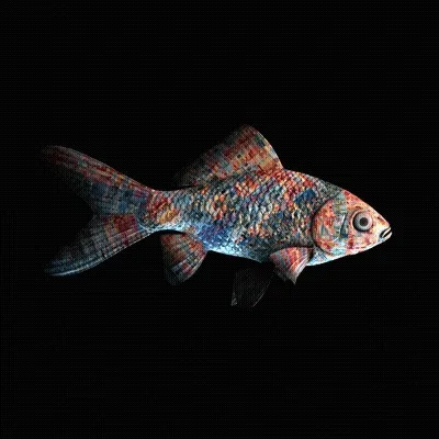 CryptoFish #1669