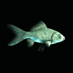 CryptoFish #3698