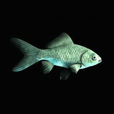 CryptoFish #3698
