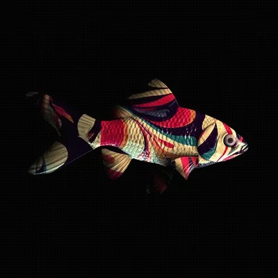 CryptoFish #3479