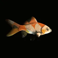 CryptoFish #4130