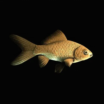 CryptoFish #4955