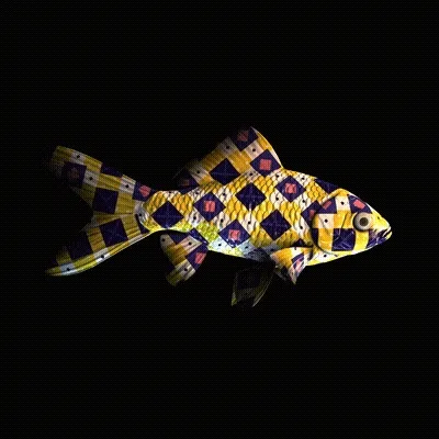 CryptoFish #3215