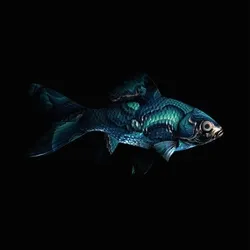 CryptoFish #4805