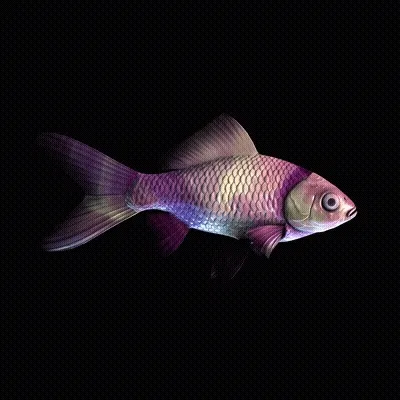 CryptoFish #3425