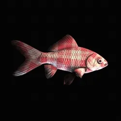 CryptoFish #4141
