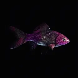 CryptoFish #3252