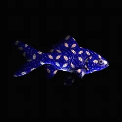 CryptoFish #4254