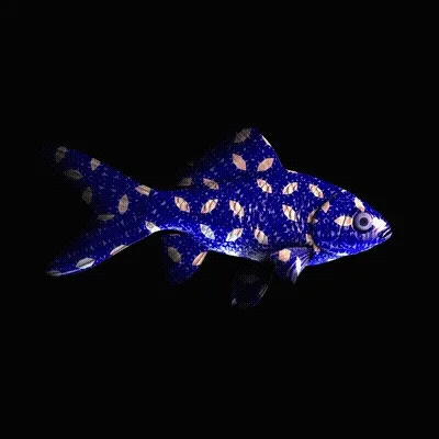 CryptoFish #4254
