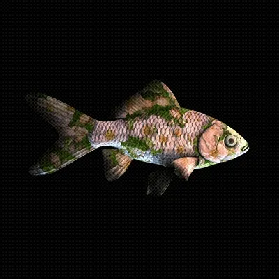 CryptoFish #674