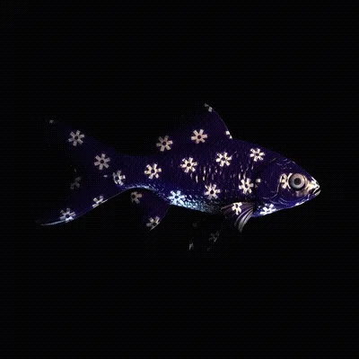 CryptoFish #4967