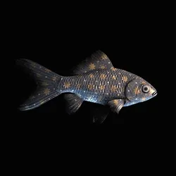 CryptoFish #2028