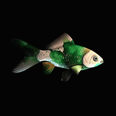 CryptoFish #1427