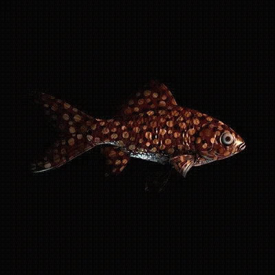 CryptoFish #5537