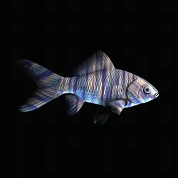 CryptoFish #3465